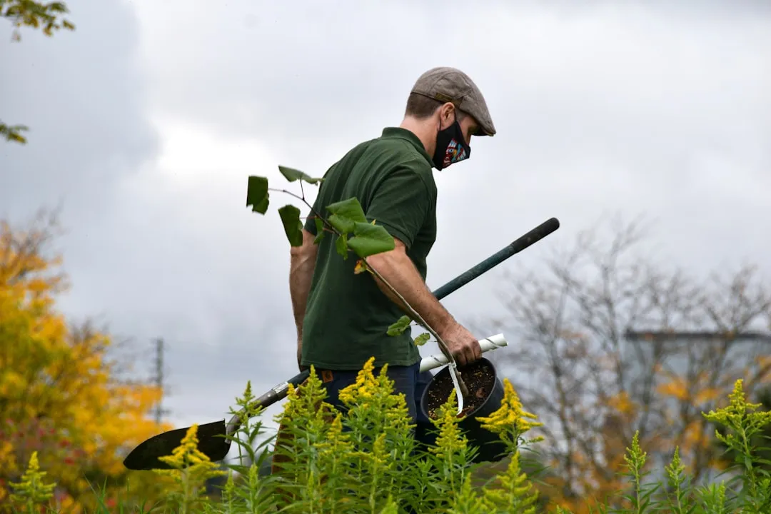 沈阳健康产业政策解读：2025年康养服务新规与合规要点