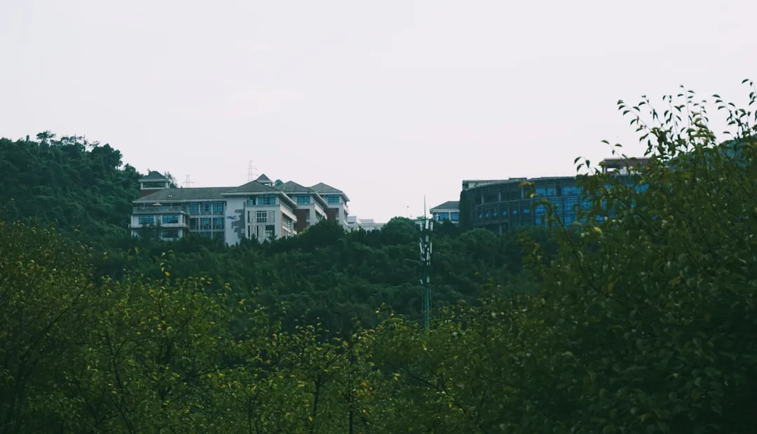 沈阳康养服务方案对比：悦享健康与本地机构差异分析