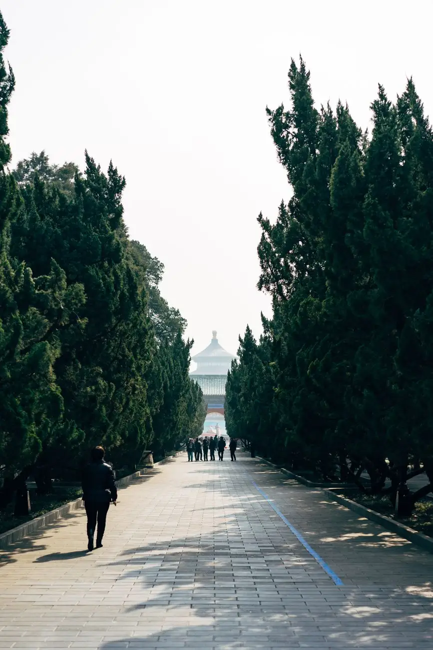 健康管理技术路线在品质养老中的应用前景探讨